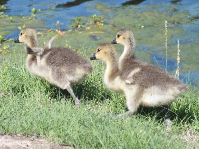 Подборка прикольных фото №3816