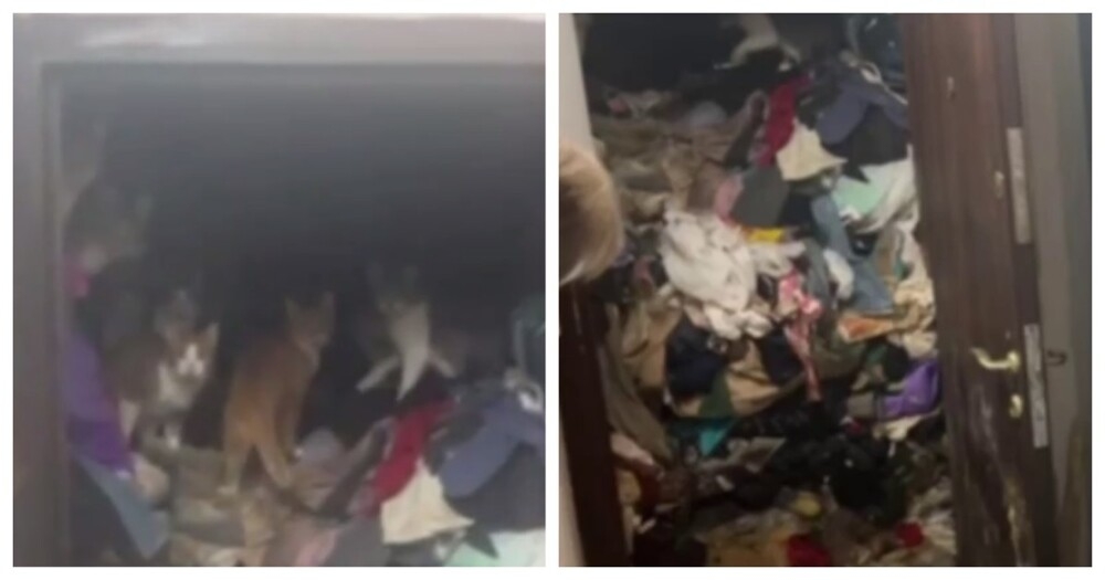 
        Женщина превратила квартиру в&nbsp;свалку    