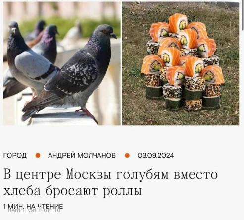 Объявления, реклама и вывески: смех сквозь маркетинг