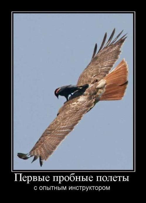 
			Демотиваторы №3747 (15 фото)