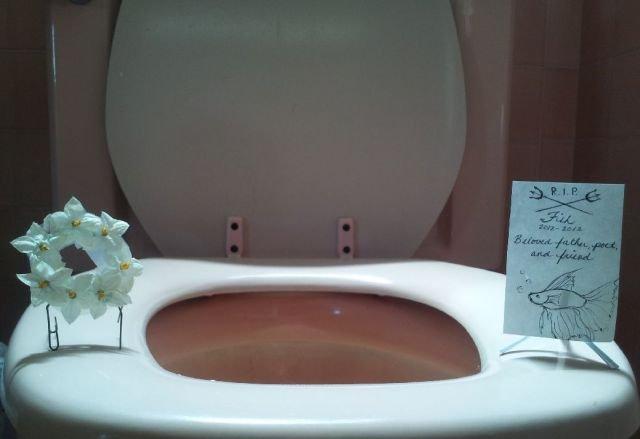 Подборка прикольных фото №3803