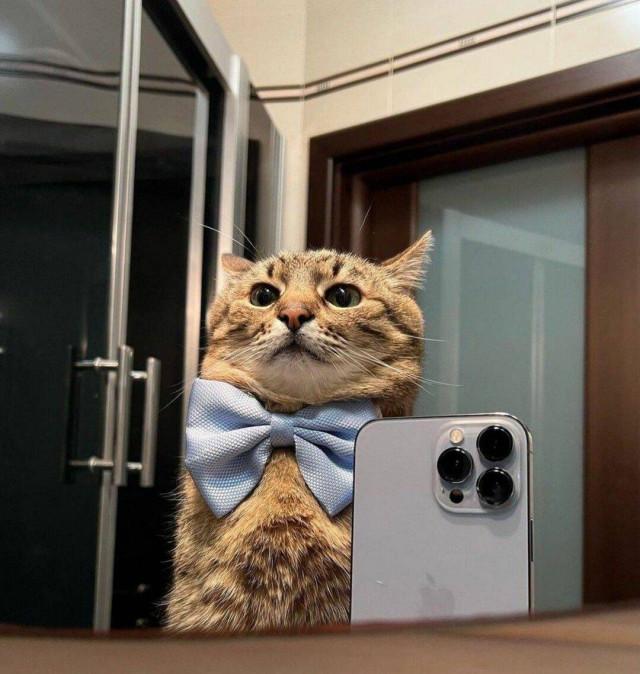 Подборка прикольных фото №3795