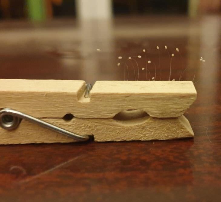 
        20&nbsp;природных шедевров, ставших результатом случайности    