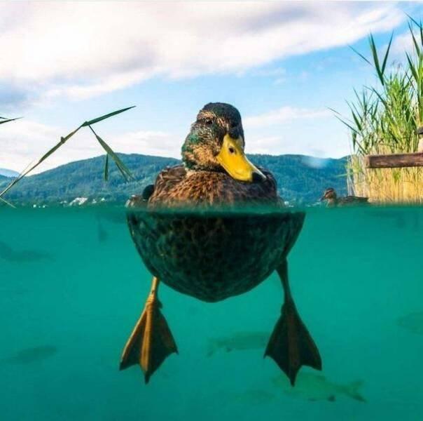 Подборка прикольных фото №3798