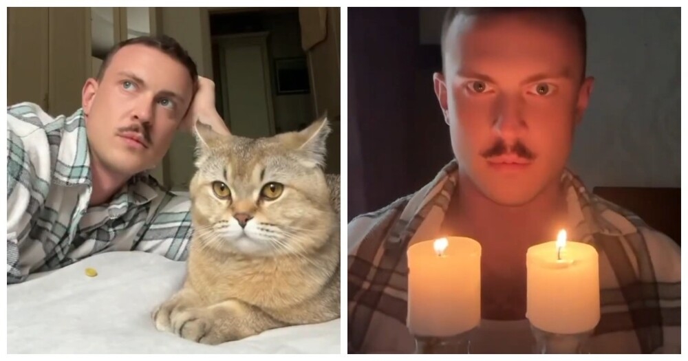 
        Новая схема по&nbsp;привлечению богатства: кот&nbsp;+ расчёска = деньги!    