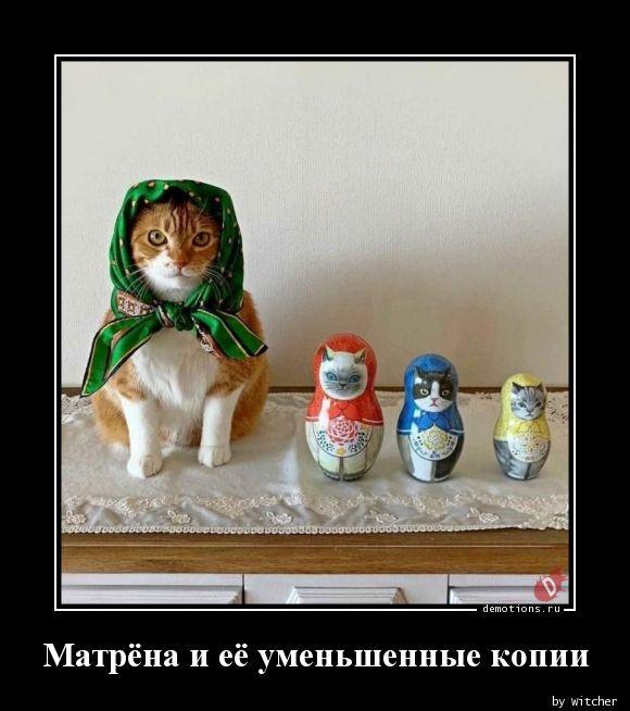 
			Демотиваторы №3753 (17 фото)