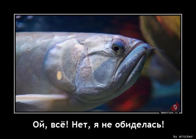 
			Демотиваторы №3744 (15 фото)