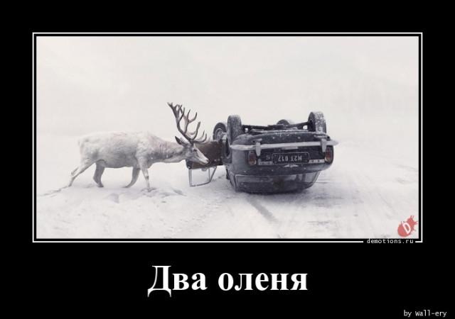 
			Демотиваторы №3745 (15 фото)