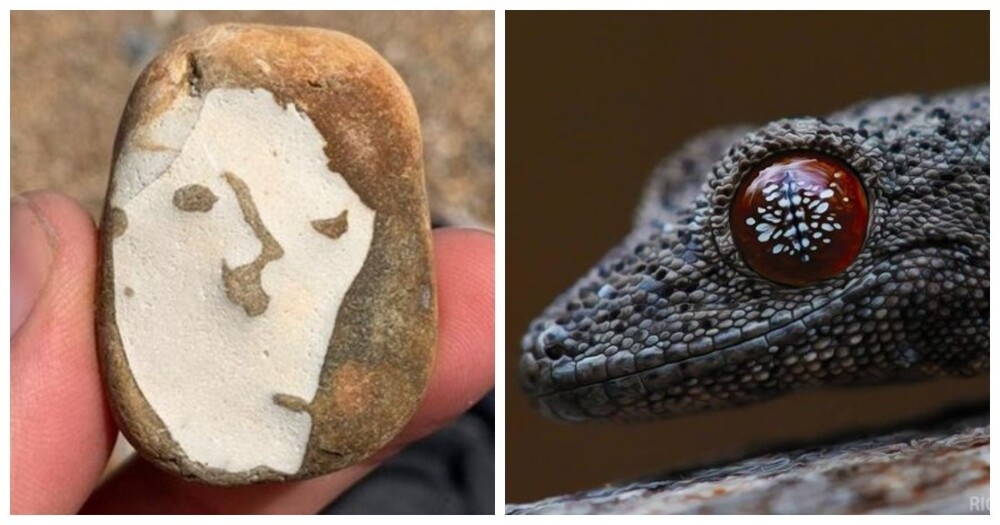 
        20&nbsp;природных шедевров, ставших результатом случайности    