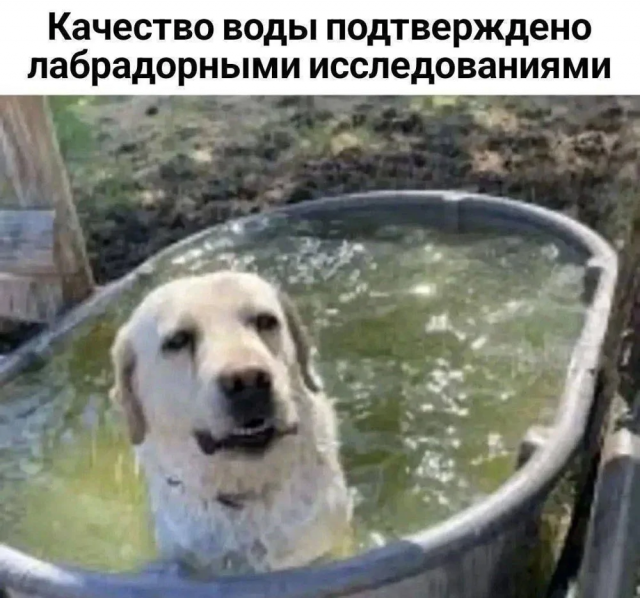 Подборка каламбуров и лингвистических приоклов Подборка каламбуров и лингвистических приоклов