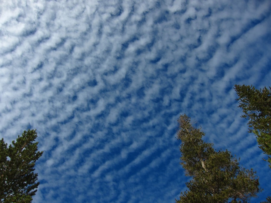 
        25&nbsp;персонажей и&nbsp;декораций небесного театра, доказывающих, что&nbsp;облака могут быть объектом искусства    