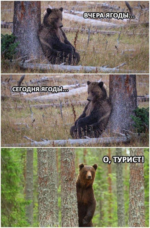 Нарисованные сюжеты под разное настроение