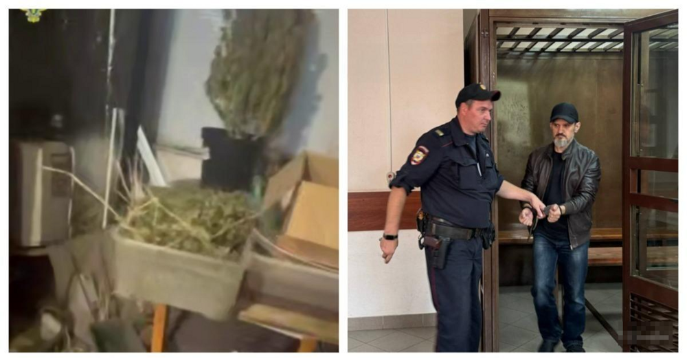 
        В&nbsp;квартире москвича, затопившего соседку, нашли наркоплантацию    