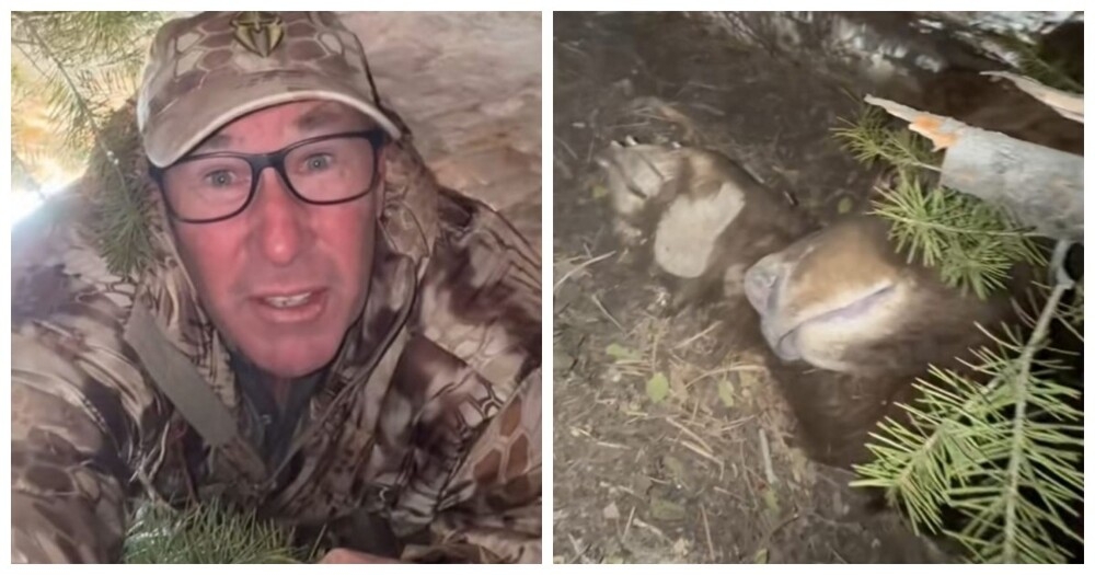 
        Безумие в&nbsp;прямом эфире: мужчина залез в&nbsp;берлогу спящей медведицы    