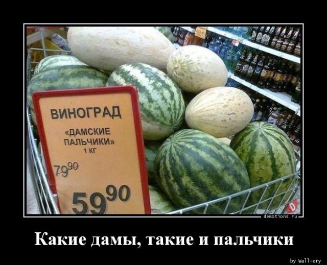 
			Демотиваторы №3760 (15 фото)