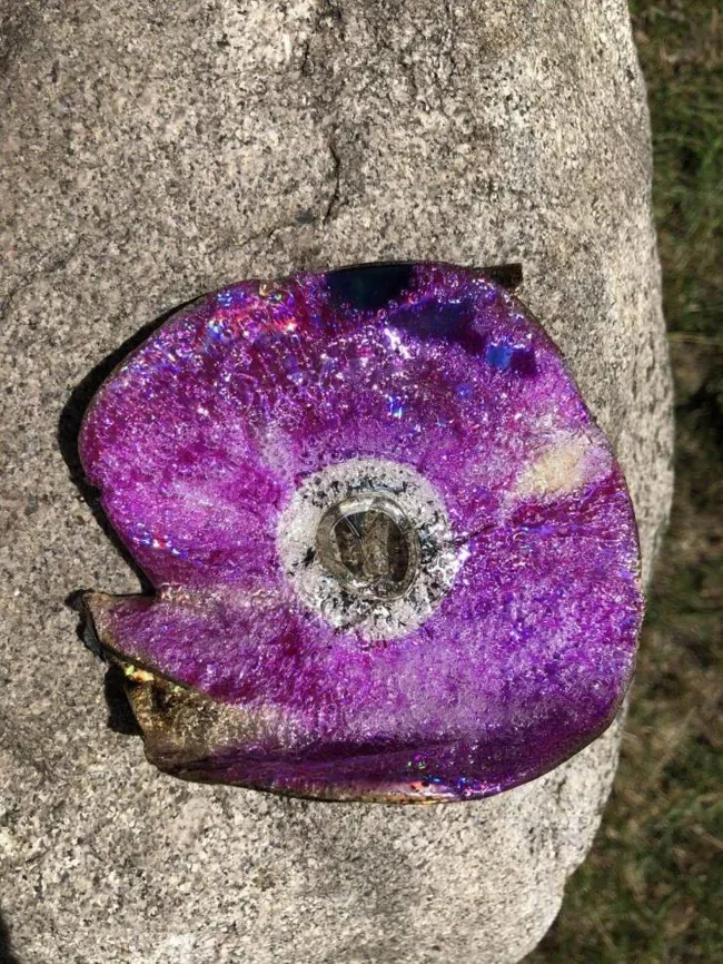 
        20&nbsp;простых и&nbsp;завораживающих чудес, которые можно встретить где&nbsp;угодно    