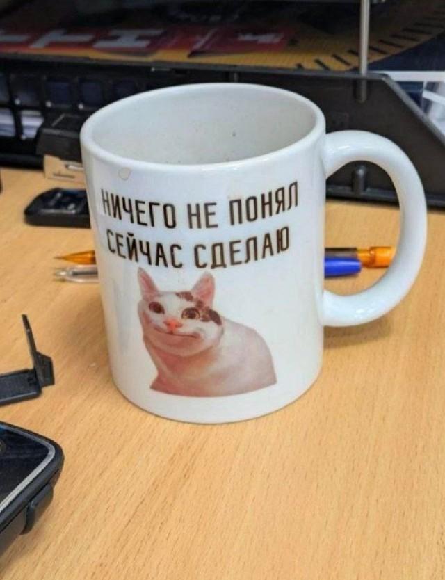 Подборка прикольных фото №3805