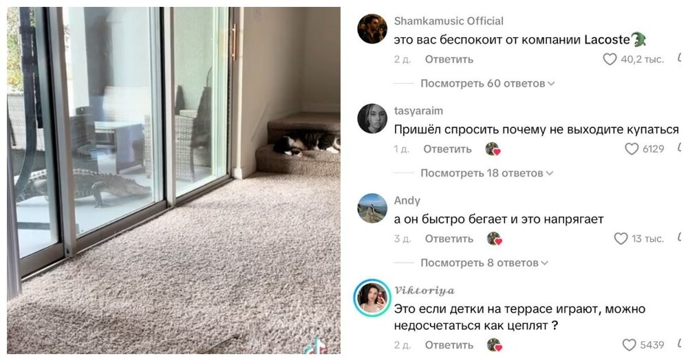 Аллигатор пришёл в гости, но хозяйка оказалась смелее
Аллигатор пришёл в гости, но хозяйка оказалась смелее