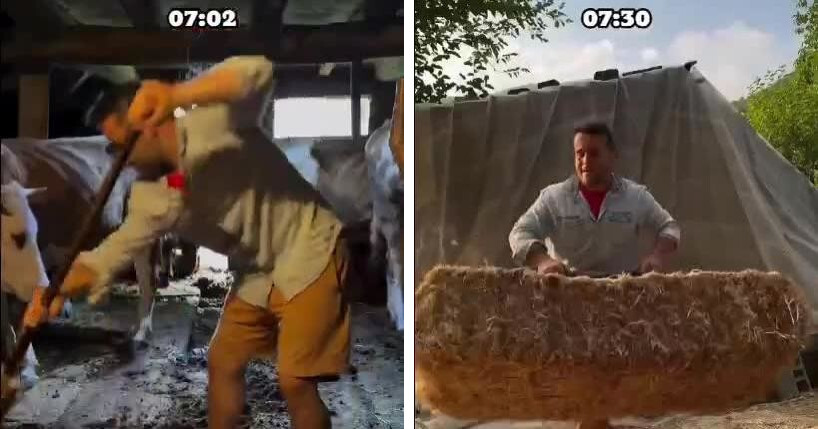 
        Обычный день фермера в деревне    