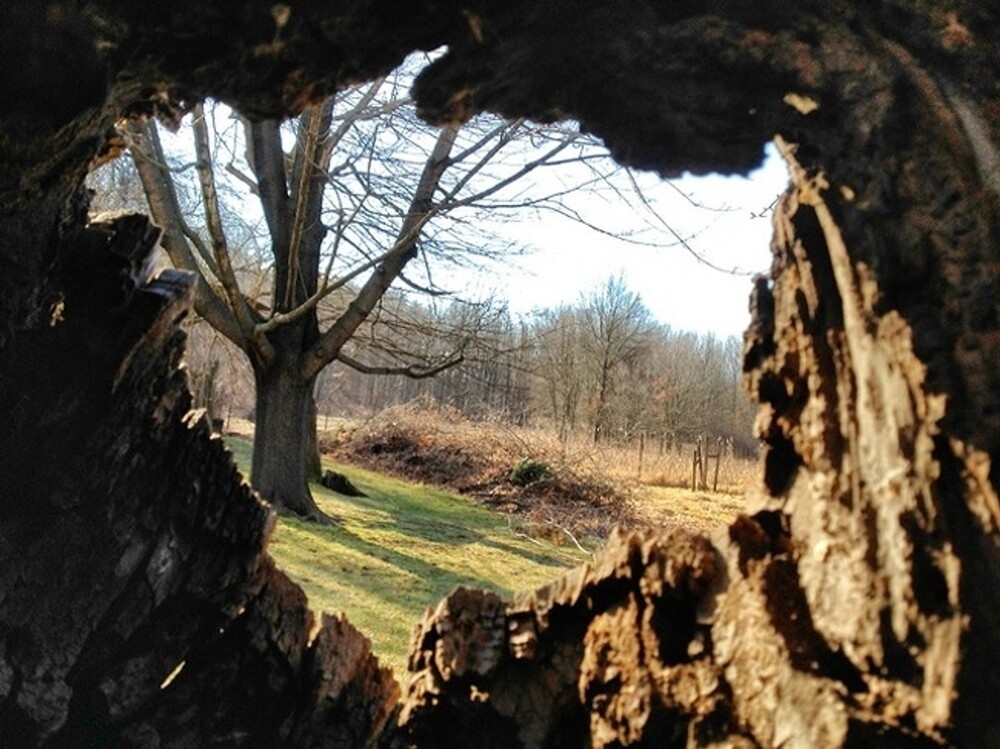 
        20&nbsp;кадров - примеров простых чудес нашего мира    