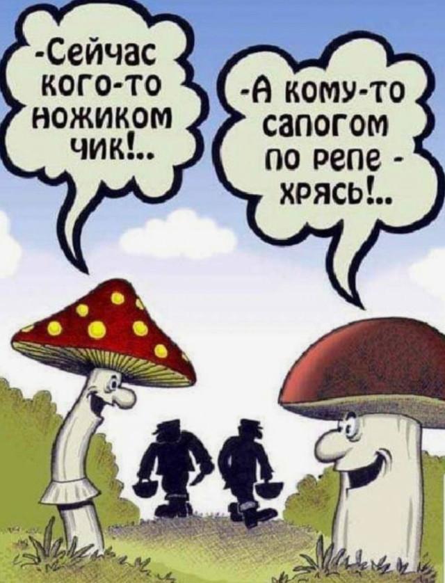 Нарисованные сюжеты под разное настроение