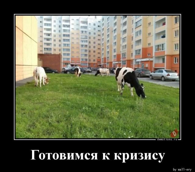
			Демотиваторы №3741 (15 фото)