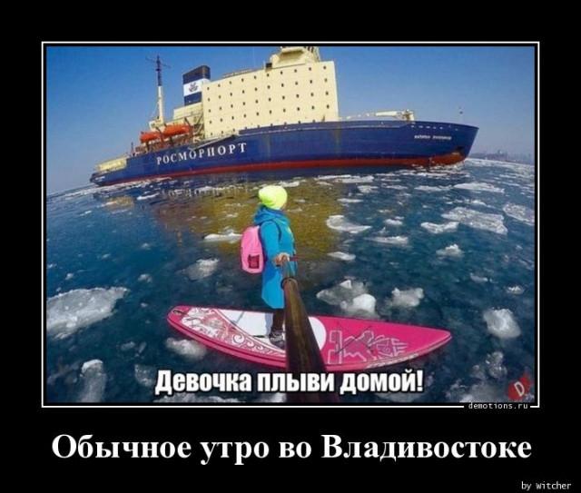 
			Демотиваторы №3752 (15 фото)