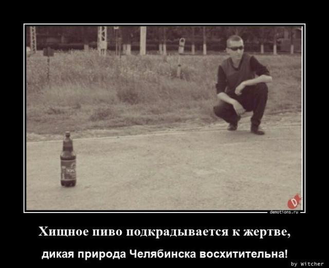 
			Демотиваторы №3757 (17 фото)