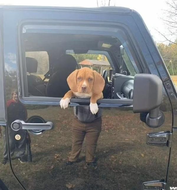 Оказалось, показалось: когда ракурс решает всё