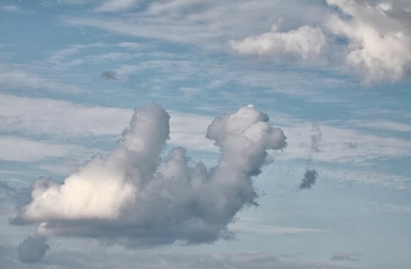 
        25&nbsp;персонажей и&nbsp;декораций небесного театра, доказывающих, что&nbsp;облака могут быть объектом искусства    