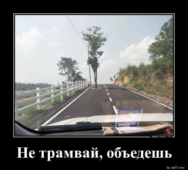 
			Демотиваторы №3745 (15 фото)