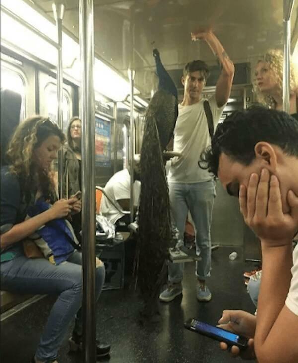 Подборка прикольных фото №3807