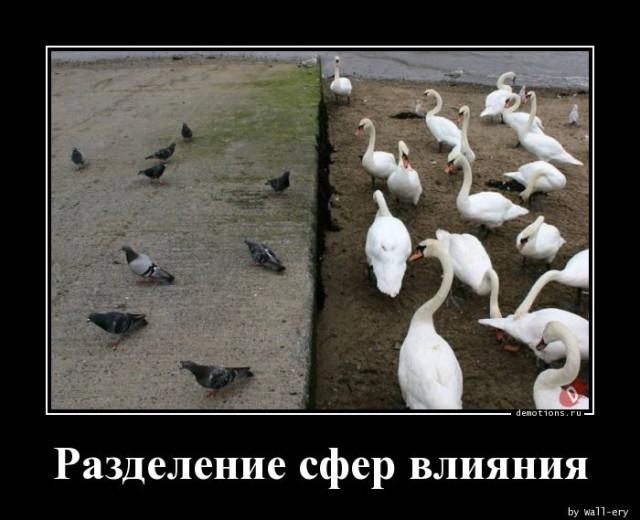 
			Демотиваторы №3742 (15 фото)