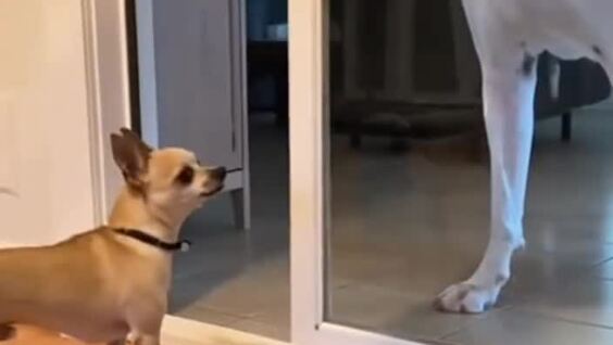 Когда ты смелый только за стеклом
Когда ты смелый только за стеклом