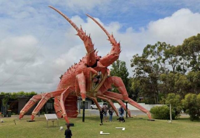 Подборка картинок. Вечерний выпуск - 31.10.2025 (30 фото)