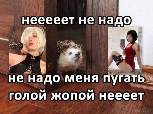 Мемы и картинки для взрослых Мемы и картинки для взрослых