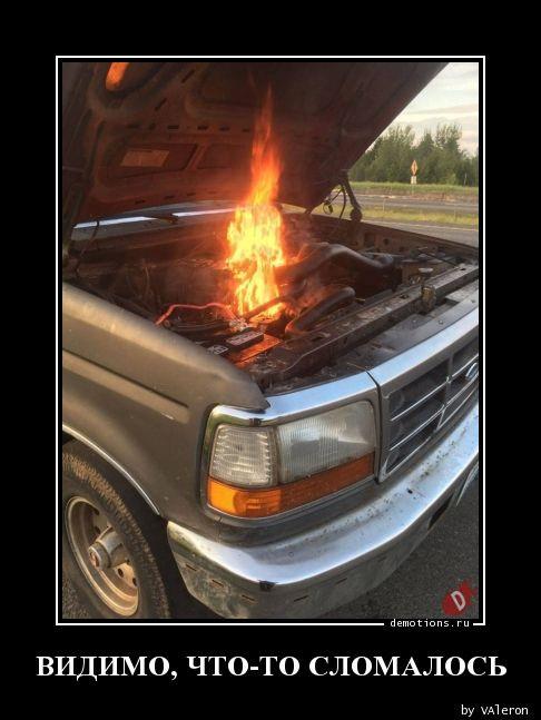 
			Демотиваторы №3753 (17 фото)