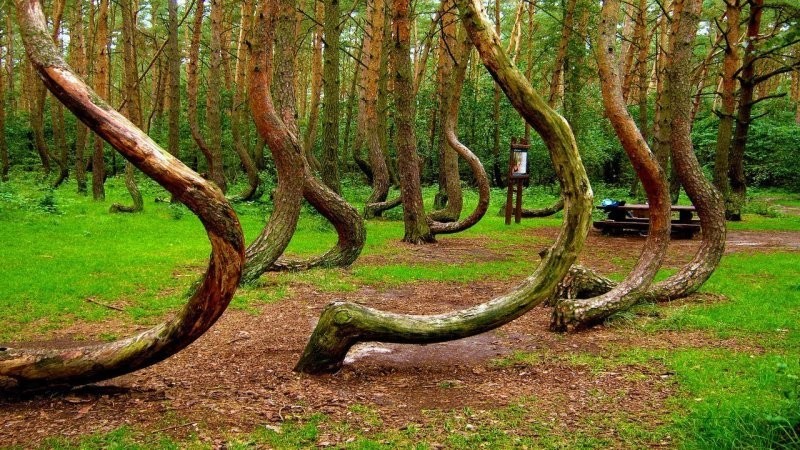 
        20&nbsp;кадров - примеров простых чудес нашего мира    