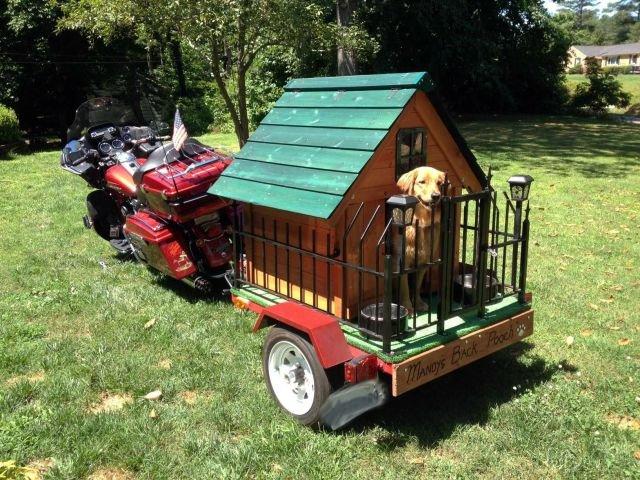 Подборка прикольных фото №3803