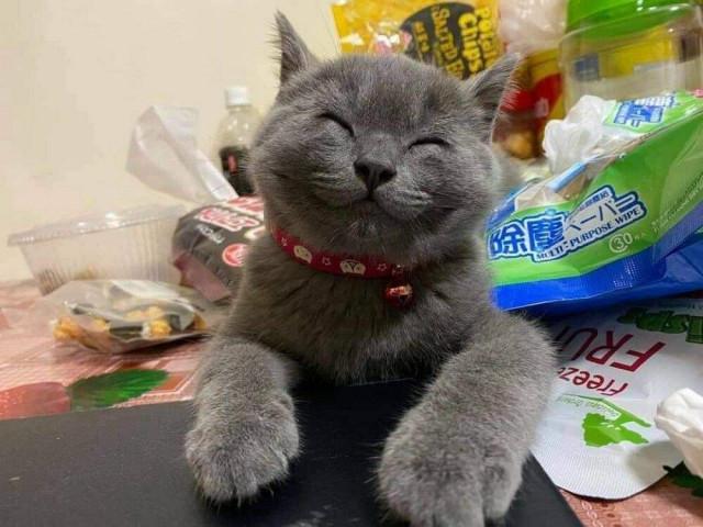 Подборка прикольных фото №3801