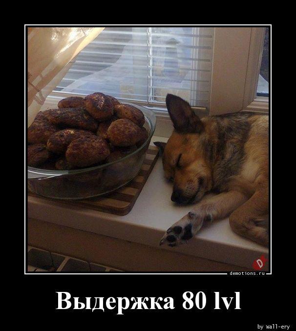 
			Демотиваторы №3750 (15 фото)