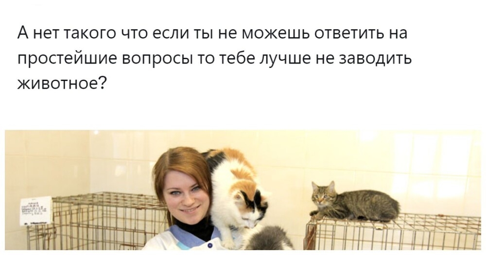 
        Подробная анкета в&nbsp;приютах для&nbsp;животных &ndash; необходимая защита или&nbsp;избыточная преграда?    