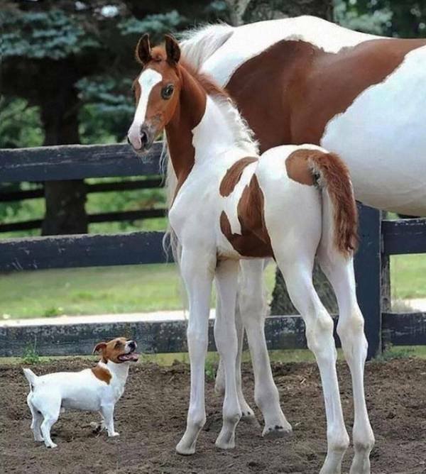 Подборка картинок. Вечерний выпуск - 31.10.2025 (30 фото)