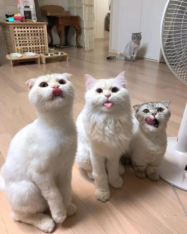 Подборка прикольных фото №3795