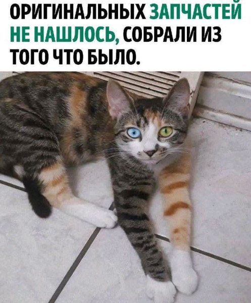 Мем №1550383