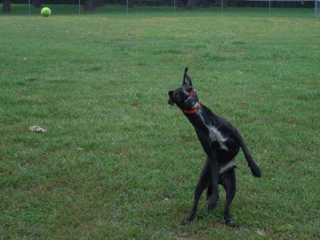 Подборка прикольных фото №3812