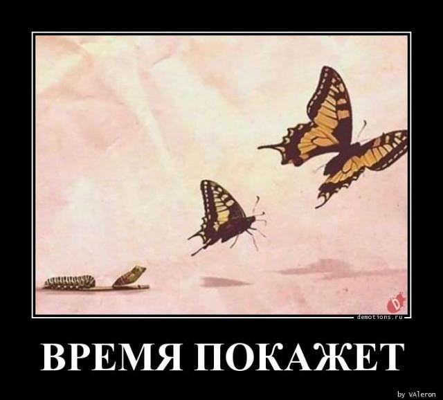 
			Демотиваторы №3755 (15 фото)