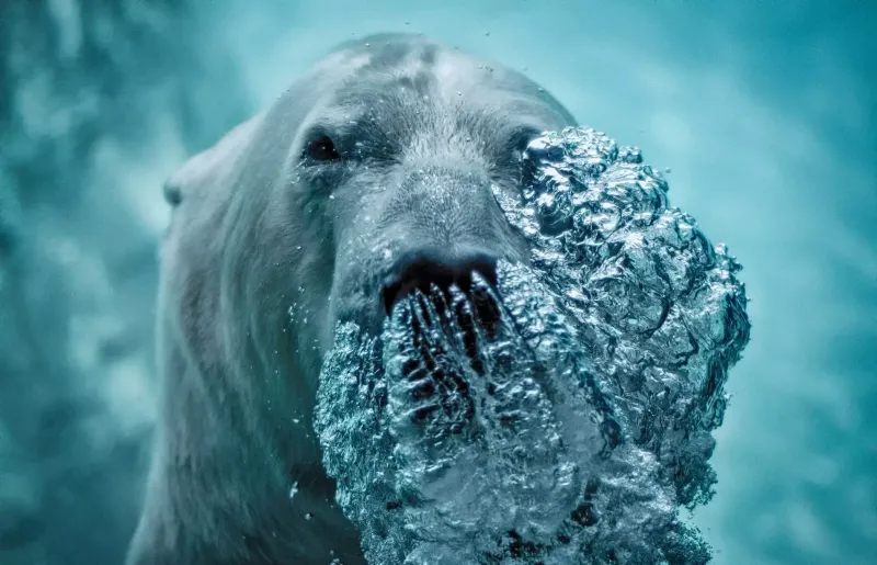 
        20&nbsp;простых и&nbsp;завораживающих чудес, которые можно встретить где&nbsp;угодно    