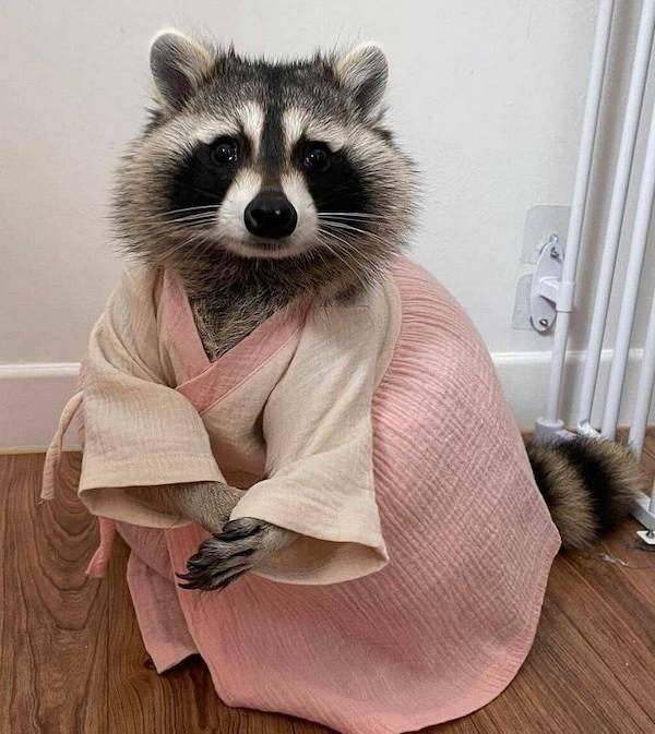 Подборка прикольных фото №3809