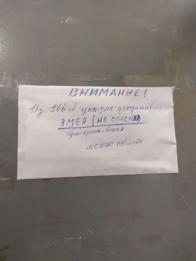 Странные и прикольные объявления с просторов страны